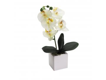 Orchideen im Keramiktopf
